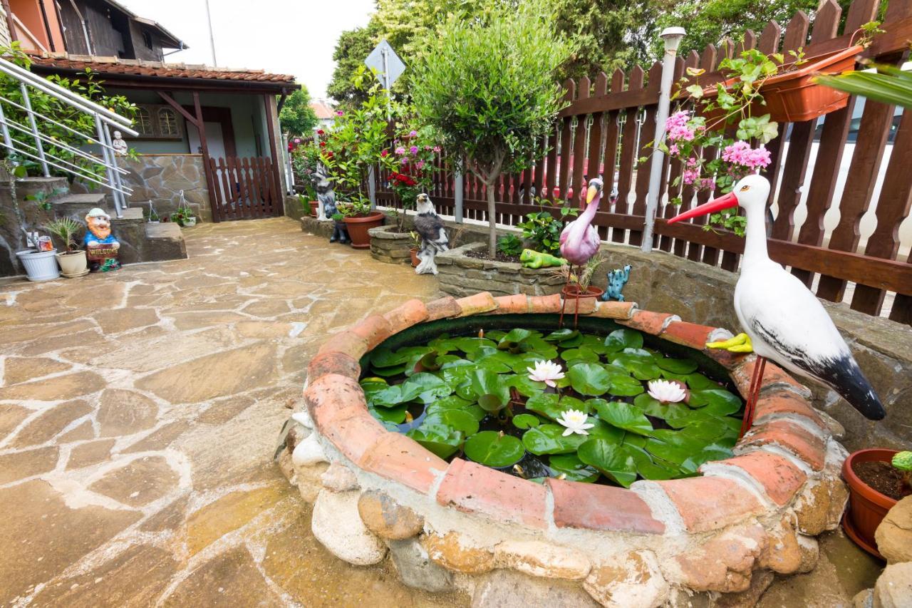 Guesthouse Sunny Dream ซาเรโว ภายนอก รูปภาพ